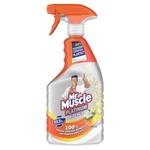 Mr Muscle Citrus Platinum Kitchen Spray (750 ml)